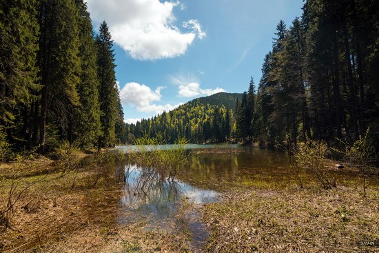 Spring in the Carpathian Mountains, Ukraine photo 17