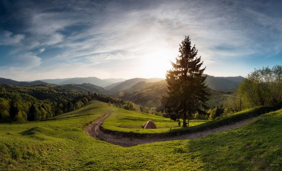 Spring in the Carpathian Mountains, Ukraine photo 19