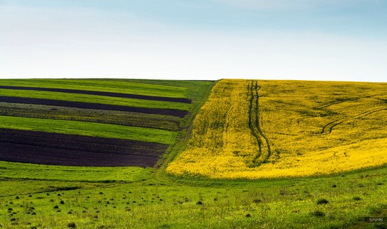 Spring in the Carpathian Mountains, Ukraine photo 2