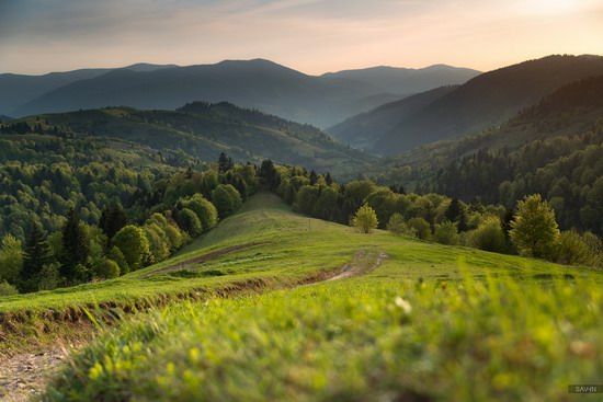 Spring in the Carpathian Mountains, Ukraine photo 20