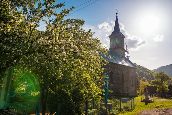 Spring in the Carpathian Mountains, Ukraine photo 4