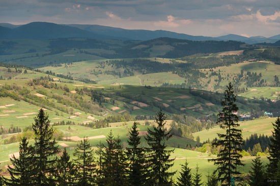 Spring in the Carpathian Mountains, Ukraine photo 9