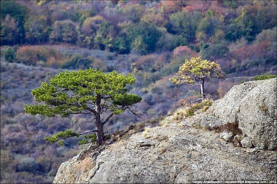 The Valley of Ghosts stone statues, Crimea, Ukraine photo 24