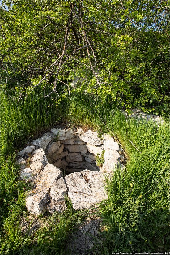 Opuksky Nature Reserve, Crimea, Ukraine photo 10