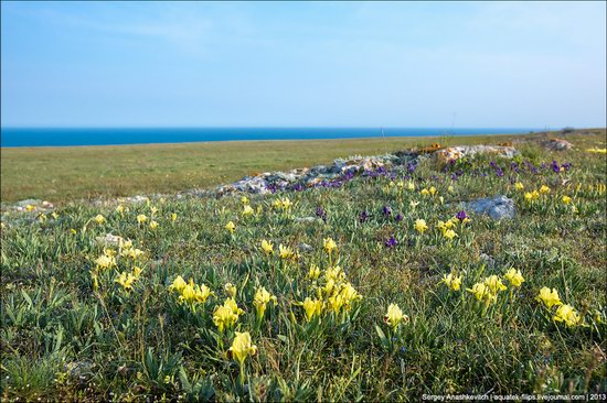 Opuksky Nature Reserve, Crimea, Ukraine photo 11