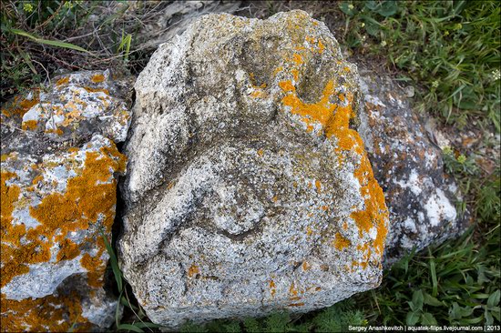 Opuksky Nature Reserve, Crimea, Ukraine photo 15