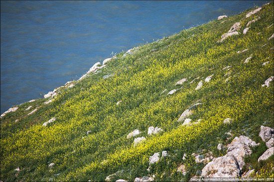 Opuksky Nature Reserve, Crimea, Ukraine photo 20