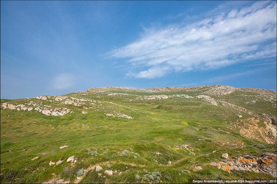 Opuksky Nature Reserve, Crimea, Ukraine photo 3