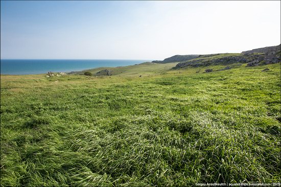 Opuksky Nature Reserve, Crimea, Ukraine photo 8