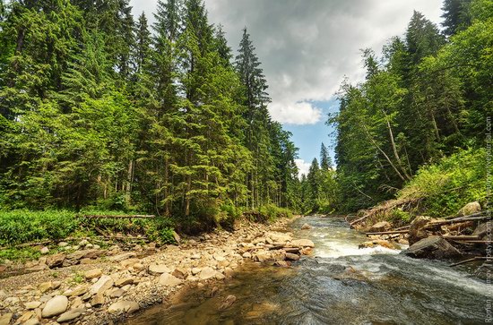 Goverlyansky Reserve - the Carpathian National Park, Ukraine photo 1