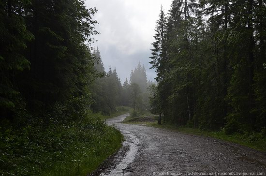 Goverlyansky Reserve - the Carpathian National Park, Ukraine photo 14