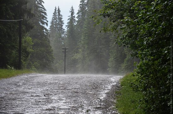 Goverlyansky Reserve - the Carpathian National Park, Ukraine photo 15