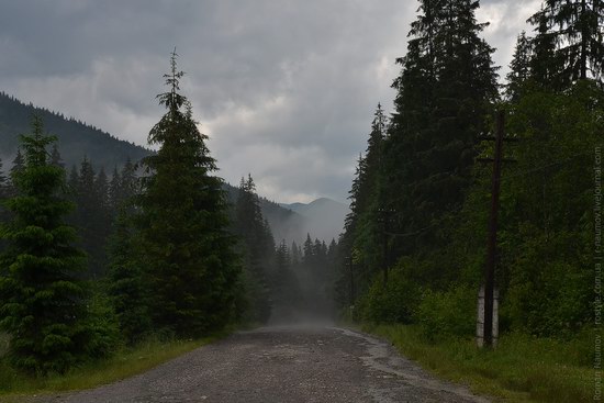 Goverlyansky Reserve - the Carpathian National Park, Ukraine photo 16