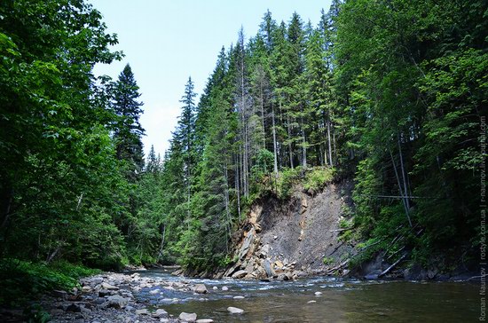 Goverlyansky Reserve - the Carpathian National Park, Ukraine photo 6