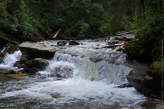 Goverlyansky Reserve - the Carpathian National Park, Ukraine photo 7