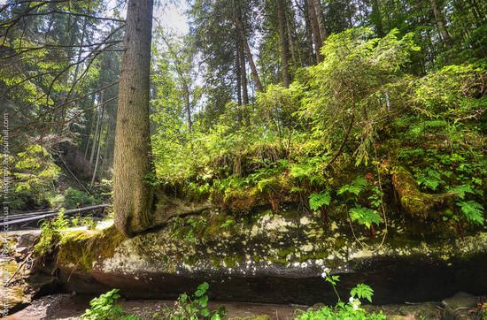 Goverlyansky Reserve - the Carpathian National Park, Ukraine photo 8