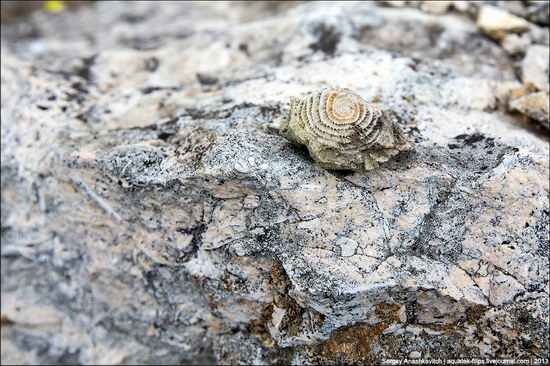 Belaya Skala, Natural Monument, Crimea, Ukraine photo 12