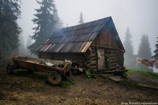 Mystical beauty of the Crpathians, Ukraine photo 1