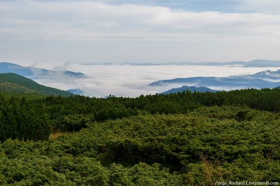 Mystical beauty of the Crpathians, Ukraine photo 13