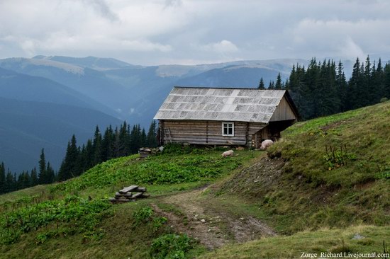 Mystical beauty of the Crpathians, Ukraine photo 15