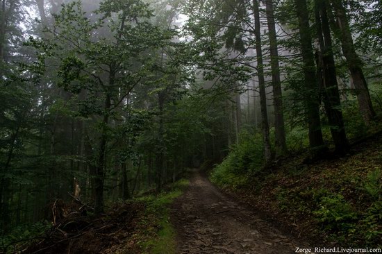 Mystical beauty of the Crpathians, Ukraine photo 2