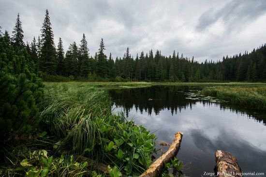 Mystical beauty of the Crpathians, Ukraine photo 20