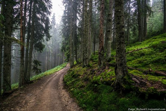 Mystical beauty of the Crpathians, Ukraine photo 21