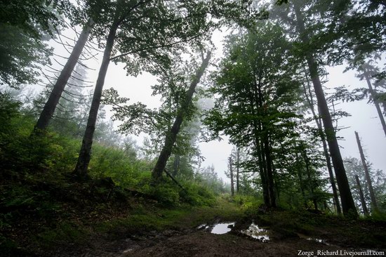 Mystical beauty of the Crpathians, Ukraine photo 3