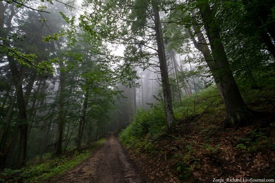 Mystical beauty of the Crpathians, Ukraine photo 4