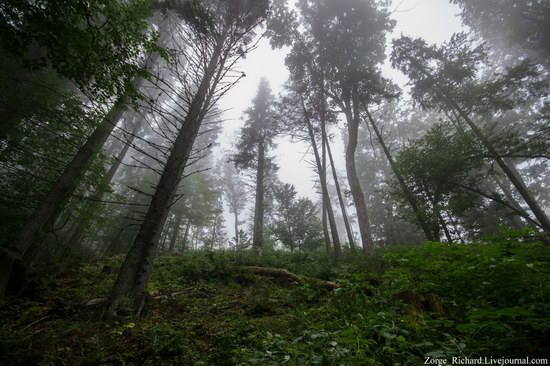 Mystical beauty of the Crpathians, Ukraine photo 5