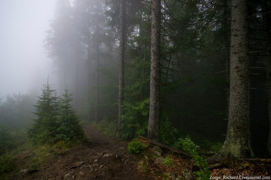 Mystical beauty of the Crpathians, Ukraine photo 6