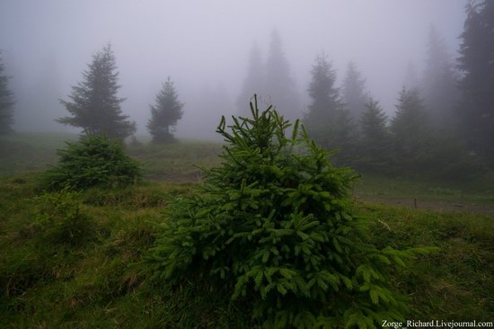 Mystical beauty of the Crpathians, Ukraine photo 7