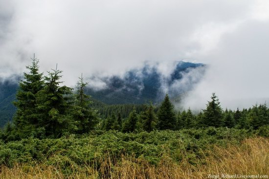 Mystical beauty of the Crpathians, Ukraine photo 9