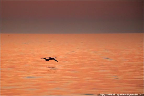 Amazing Sunrise at Cape Kiik-Atlama, Crimea, Ukraine photo 7