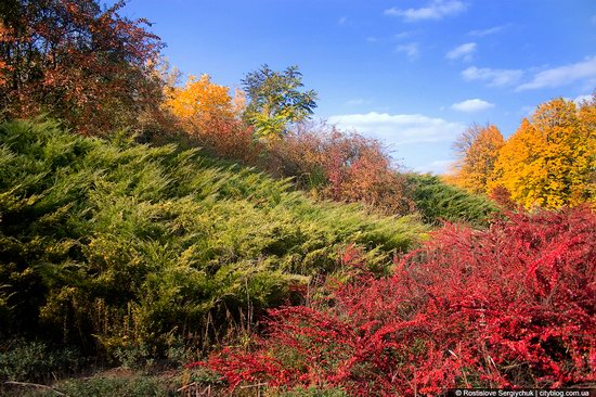 Botanical Garden, Krivoy Rog, Ukraine photo 1