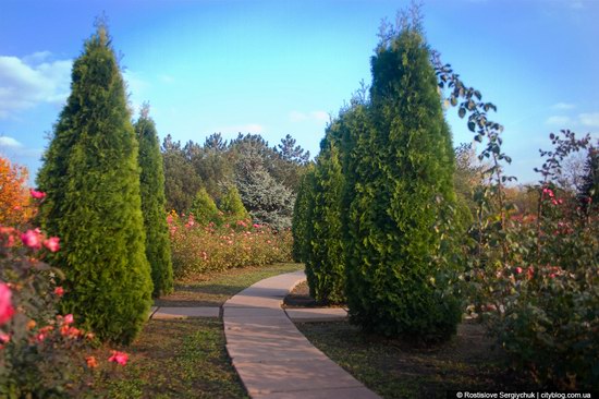 Botanical Garden, Krivoy Rog, Ukraine photo 17