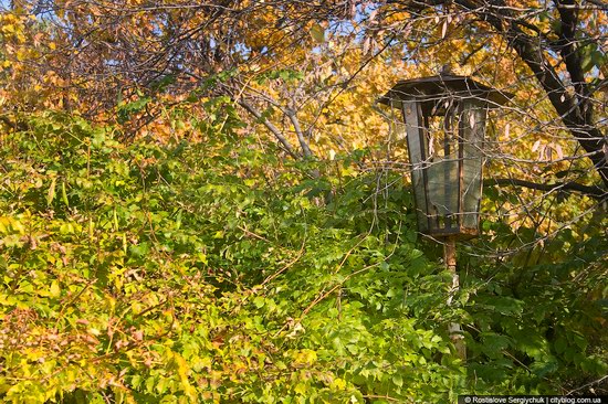 Botanical Garden, Krivoy Rog, Ukraine photo 4