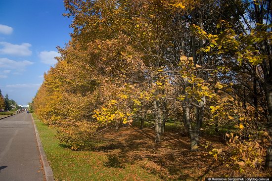 Botanical Garden, Krivoy Rog, Ukraine photo 8