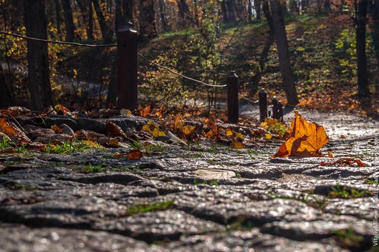 Golden Autumn in Sofiyivka Park, Uman, Ukraine photo 10