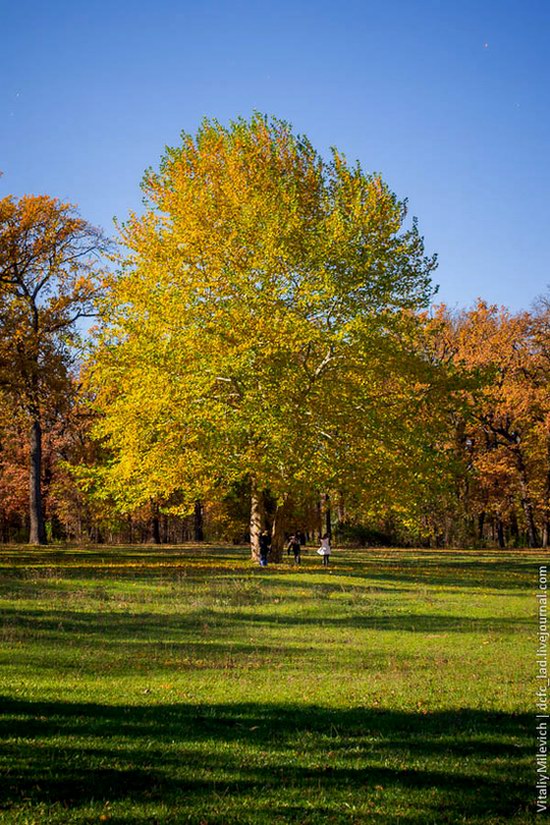 Golden Autumn in Sofiyivka Park, Uman, Ukraine photo 17