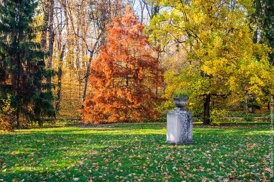 Golden Autumn in Sofiyivka Park, Uman, Ukraine photo 18