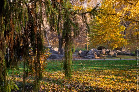 Golden Autumn in Sofiyivka Park, Uman, Ukraine photo 19