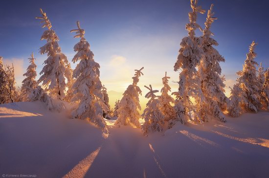 Winter Fairy Tale in the Carpathians, Ukraine