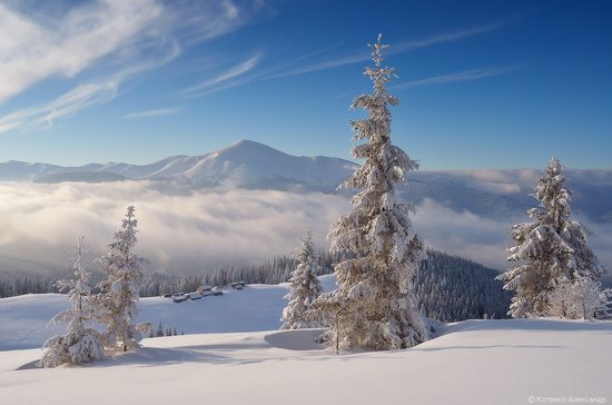 Winter fairy tale in the Carpathians, Ukraine