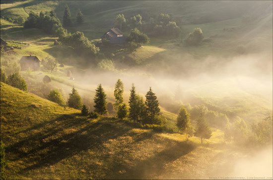 Pastoral Summer Landscapes of Transcarpathia, Ukraine photo 1