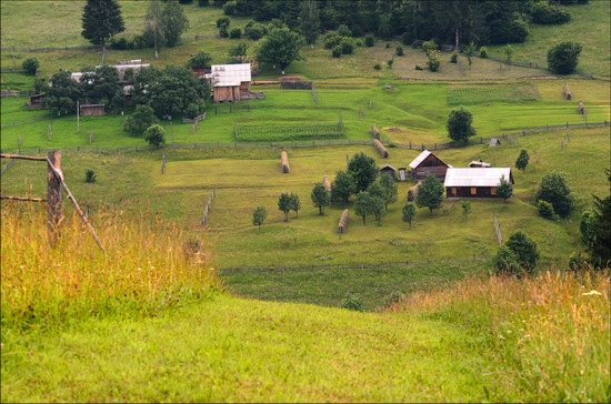 Pastoral Summer Landscapes of Transcarpathia, Ukraine photo 10