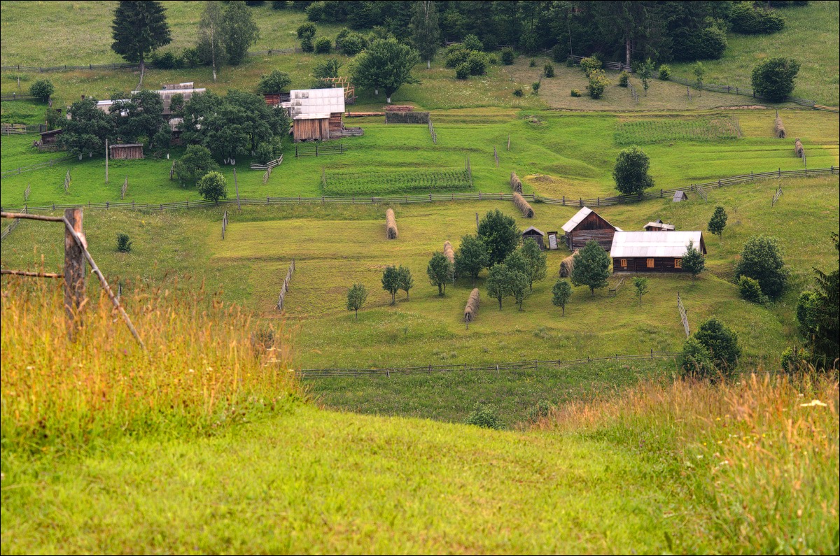 Pastoral Summer Landscapes of Transcarpathia · Ukraine travel blog