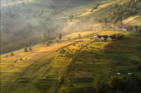 Pastoral Summer Landscapes of Transcarpathia, Ukraine photo 13