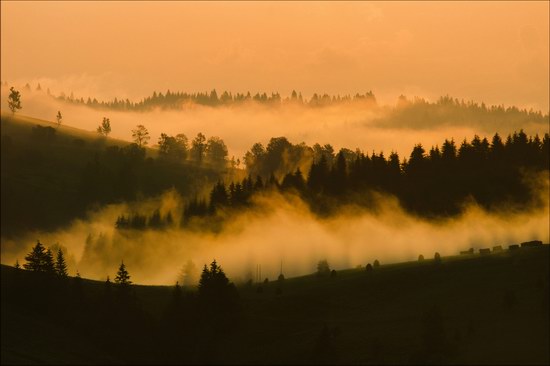 Pastoral Summer Landscapes of Transcarpathia, Ukraine photo 17