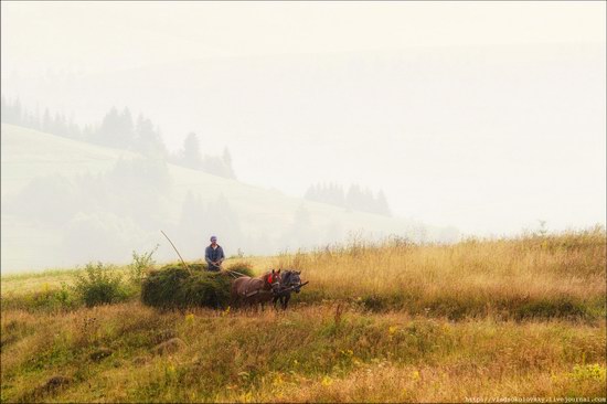 Pastoral Summer Landscapes of Transcarpathia, Ukraine photo 2